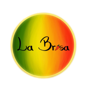 logo Labrisa Piçarras SC - PNG